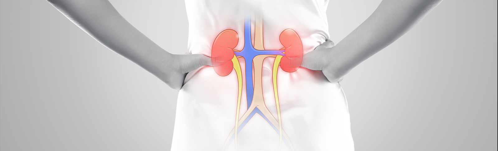 diabetic nephropathy