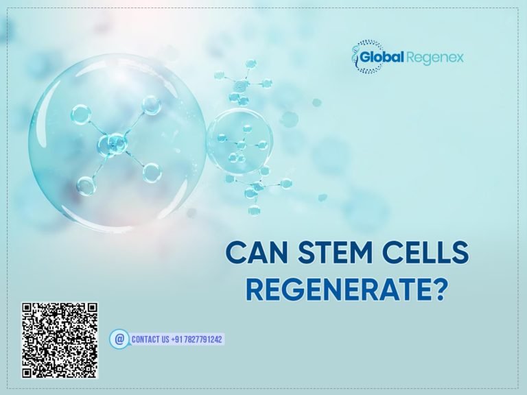 Can Stem Cells Regenerate?