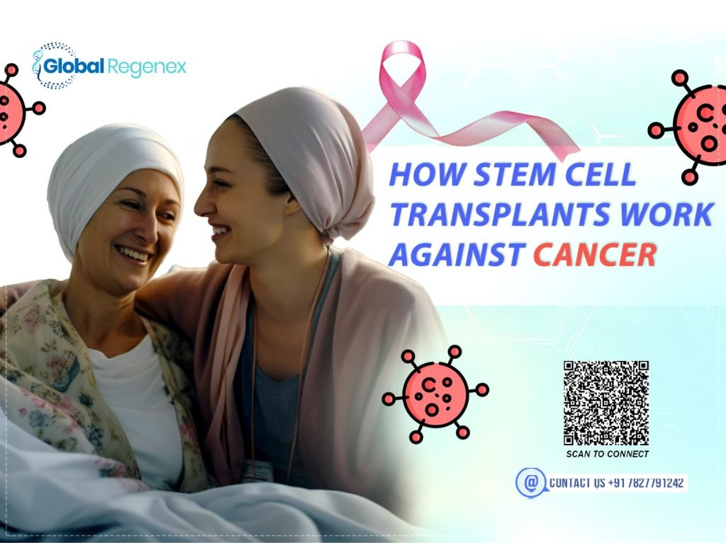 How Stem Cell Transplants Work Against Cancer?