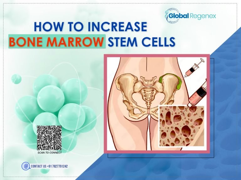 How to Increase Bone Marrow Stem Cells?