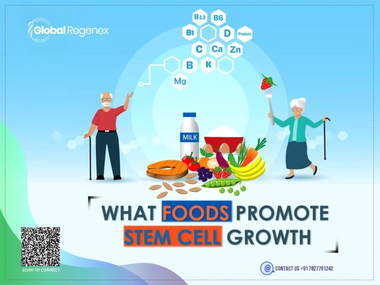 What Foods Promote Stem Cell Growth?
