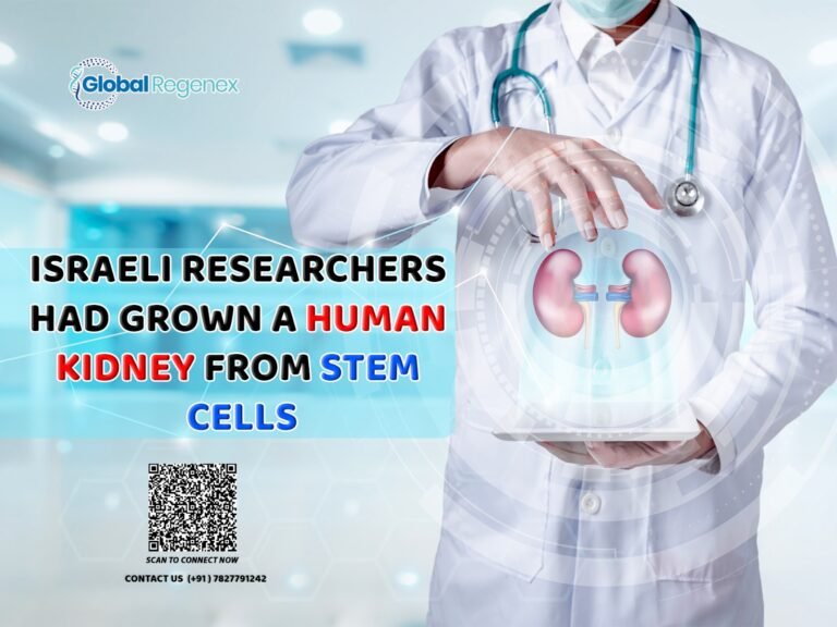 Israeli Researchers Had Grown a Human Kidney From Stem Cells