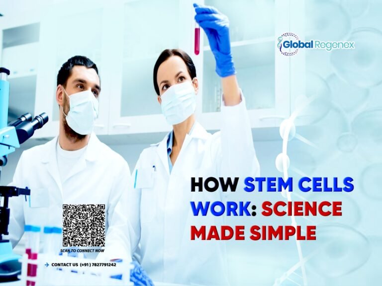How Stem Cells Work: Science Made Simple