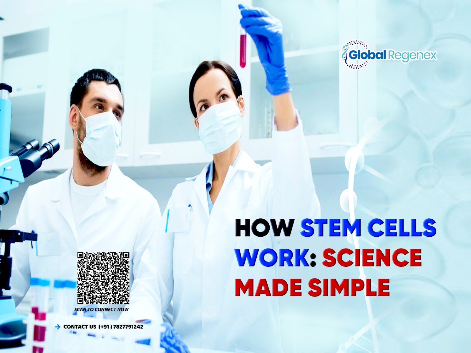 How Stem Cells Work: Science Made Simple