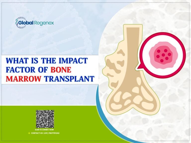 What Is the Impact Factor of Bone Marrow Transplant?