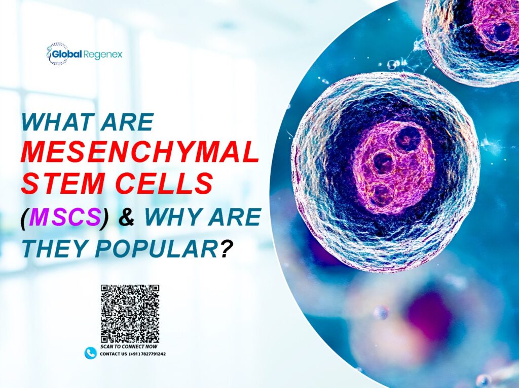 Stem Cell